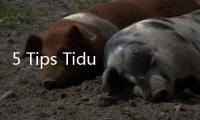 5 Tips Tidur Nyenyak, Bikin Penurunan Berat Badan Makin Lancar