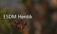 ESDM Hentikan Operasi Tambang di Raja Ampat, Bahlil Janji Turun Langsung
