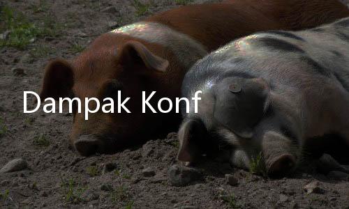 Dampak Konflik Geopolitik Timur Tengah ke Perekonomian Indonesia Dibeberkan Ekonom