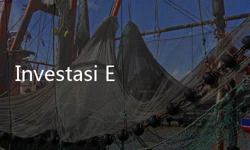 Investasi Energi Terbarukan di Indonesia Jadi Sorotan, Ini Pesan Ketum Kadin