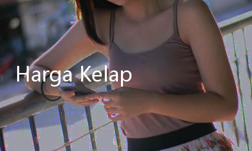 Harga Kelapa Meroket, Ini 5 Alternatif Pengganti Santan