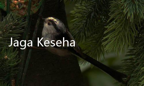 Jaga Kesehatan Ginjal, 7 Buah Ini Bagus untuk Penderita Ginjal Kronis