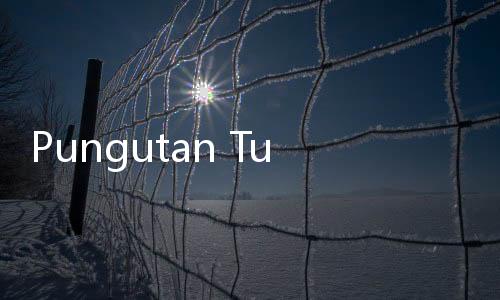 Pungutan Turis Asing di Bali Tembus Rp211 M, Uangnya Buat Apa?
